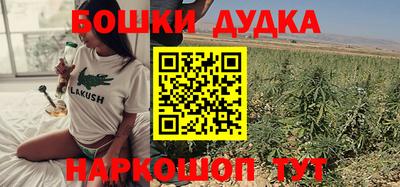 молекула духа Будённовск