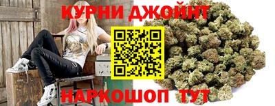 молекула духа Будённовск