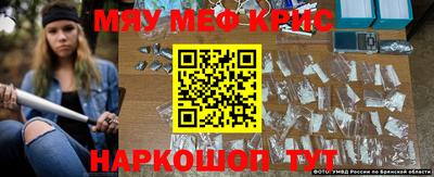 молекула духа Будённовск